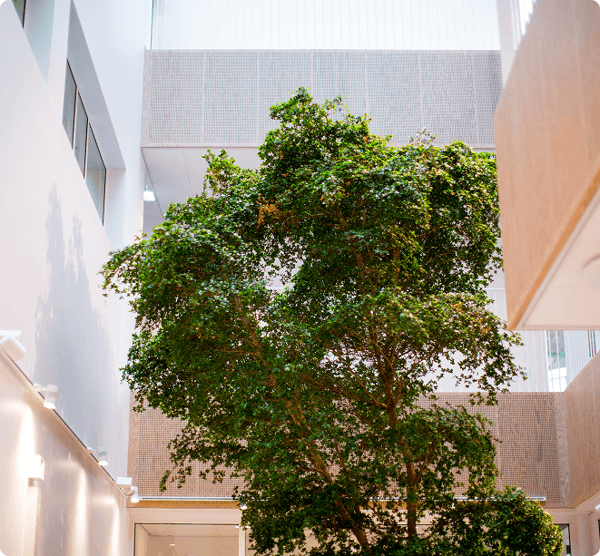 Vårt arbete i siffror